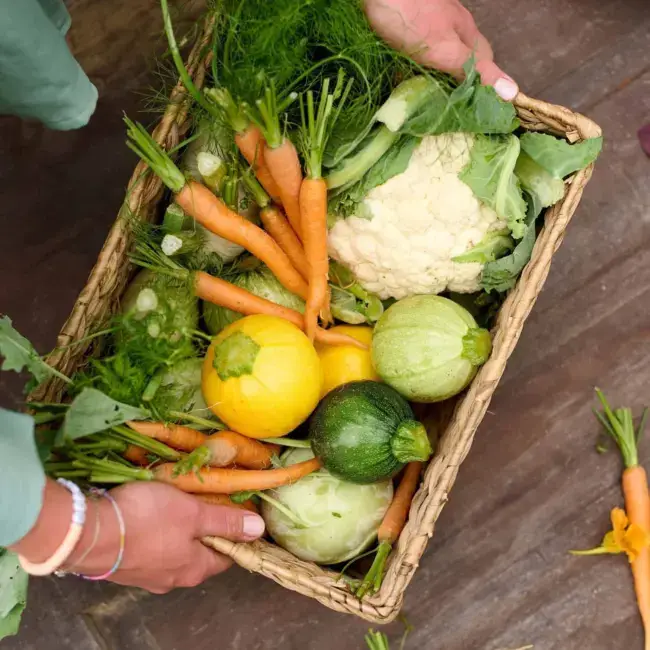 Erntefrische Gemüsekiste mit Karotten, Kohlrabi und Zucchini – regionale Zutaten für saisonale Gerichte.